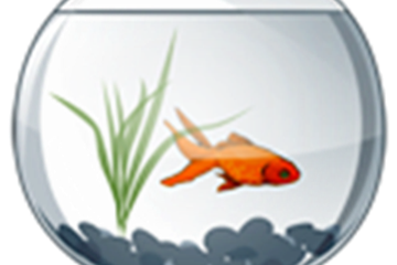 The Aquarium Game
