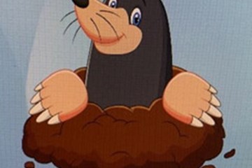Whack the Mole